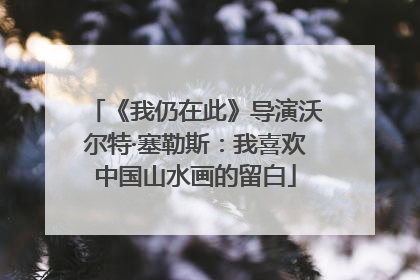 《我仍在此》导演沃尔特·塞勒斯：我喜欢中国山水画的留白