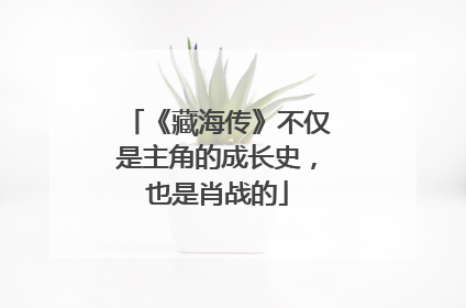 《藏海传》不仅是主角的成长史，也是肖战的