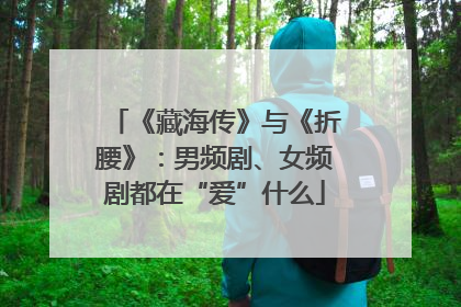 《藏海传》与《折腰》：男频剧、女频剧都在“爱”什么