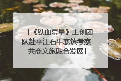 《铁血幕阜》主创团队赴平江石牛寨镇考察 共商文旅融合发展