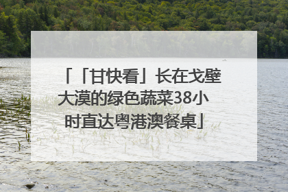 「甘快看」长在戈壁大漠的绿色蔬菜38小时直达粤港澳餐桌