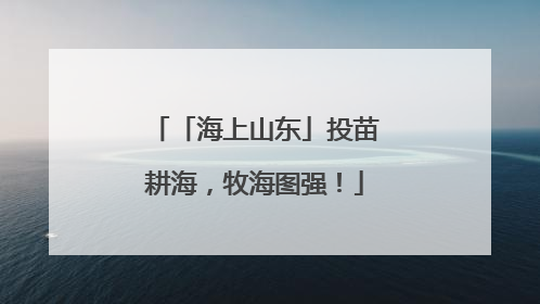 「海上山东」投苗耕海，牧海图强！
