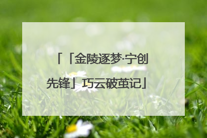 「金陵逐梦·宁创先锋」巧云破茧记