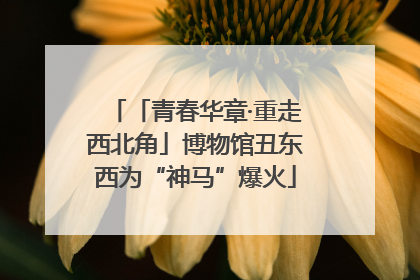 「青春华章·重走西北角」博物馆丑东西为“神马”爆火