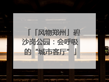 「风物郑州」碧沙岗公园：会呼吸的“城市客厅”