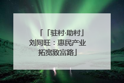 「驻村·助村」刘同旺：惠民产业拓宽致富路