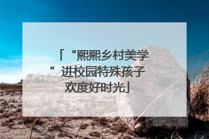 “熙熙乡村美学”进校园特殊孩子欢度好时光