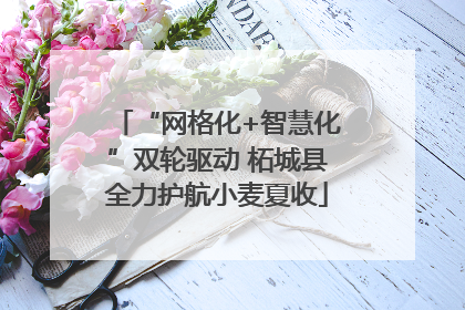 “网格化+智慧化”双轮驱动 柘城县全力护航小麦夏收