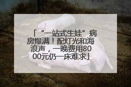 “一站式生娃”病房爆满！配灯光和海浪声，一晚费用8000元仍一床难求