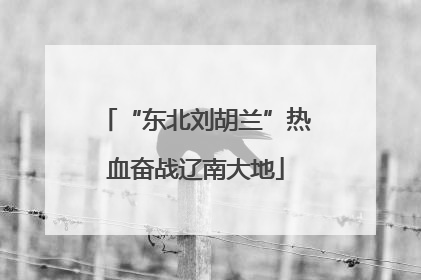 “东北刘胡兰”热血奋战辽南大地