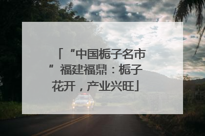 “中国栀子名市”福建福鼎：栀子花开，产业兴旺