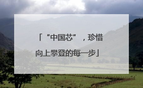 “中国芯”，珍惜向上攀登的每一步
