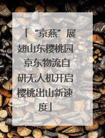 “京燕”展翅山东樱桃园 京东物流自研无人机开启樱桃出山新速度