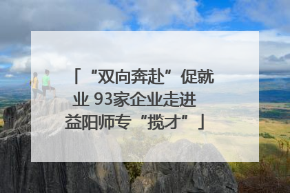 “双向奔赴”促就业 93家企业走进益阳师专“揽才”