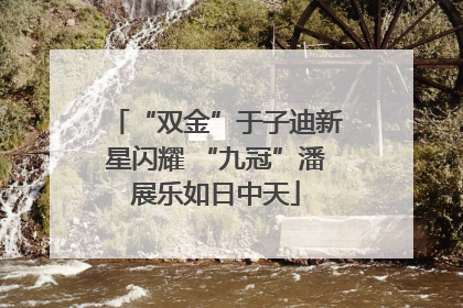 “双金”于子迪新星闪耀 “九冠”潘展乐如日中天