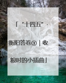 “十四五”·衡阳答卷③｜收粮时的小插曲