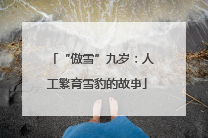 “傲雪”九岁：人工繁育雪豹的故事