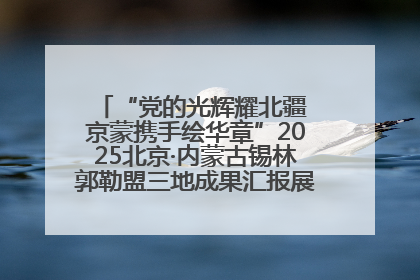 “党的光辉耀北疆 京蒙携手绘华章”2025北京·内蒙古锡林郭勒盟三地成果汇报展系列活动启动