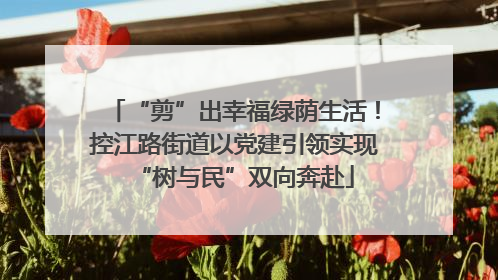 “剪”出幸福绿荫生活！控江路街道以党建引领实现“树与民”双向奔赴
