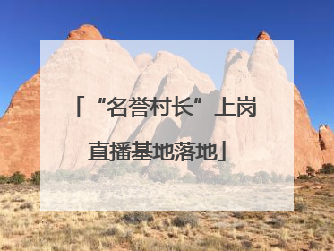 “名誉村长”上岗 直播基地落地