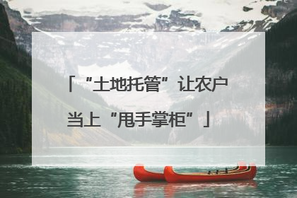 “土地托管”让农户当上“甩手掌柜”
