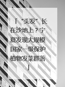 “头发”长在沙地上？宁夏发现大规模国家一级保护植物发菜群落