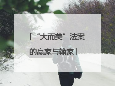 “大而美”法案的赢家与输家