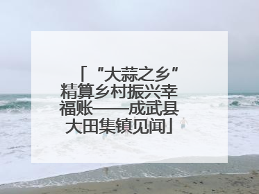 “大蒜之乡”精算乡村振兴幸福账——成武县大田集镇见闻