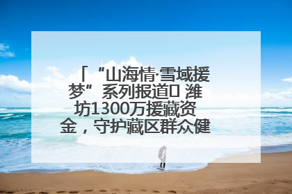 “山海情·雪域援梦”系列报道⑪ 潍坊1300万援藏资金，守护藏区群众健康“最后一公里”