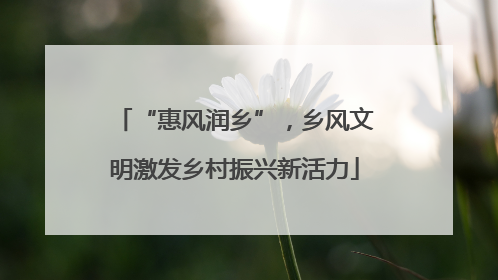 “惠风润乡”，乡风文明激发乡村振兴新活力
