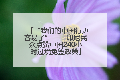 “我们的中国行更容易了”——印尼民众点赞中国240小时过境免签政策