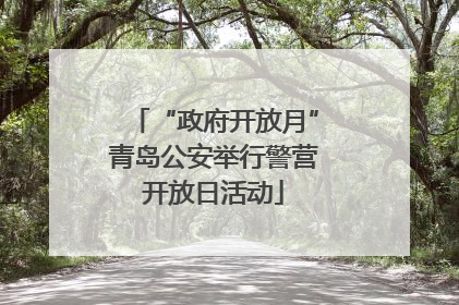 “政府开放月”青岛公安举行警营开放日活动