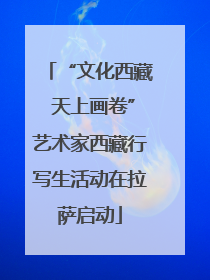 “文化西藏 天上画卷”艺术家西藏行写生活动在拉萨启动