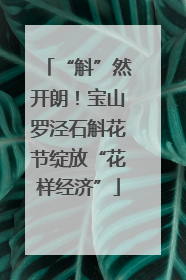 “斛”然开朗！宝山罗泾石斛花节绽放“花样经济”