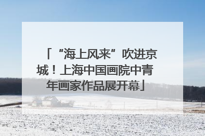“海上风来”吹进京城！上海中国画院中青年画家作品展开幕