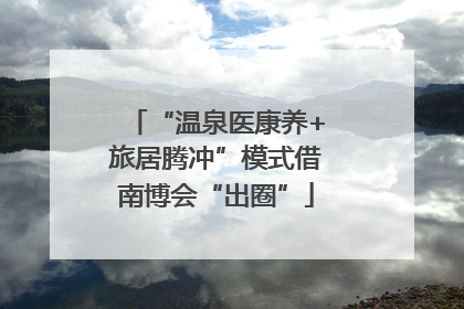 “温泉医康养+旅居腾冲”模式借南博会“出圈”