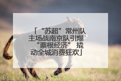 “苏超”常州队主场战南京队引爆“票根经济” 撬动全城消费狂欢
