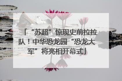 “苏超”惊现史前拉拉队！中华恐龙园“恐龙大军”将亮相开幕式