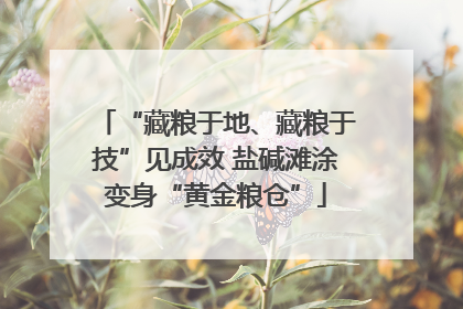 “藏粮于地、藏粮于技”见成效 盐碱滩涂变身“黄金粮仓”