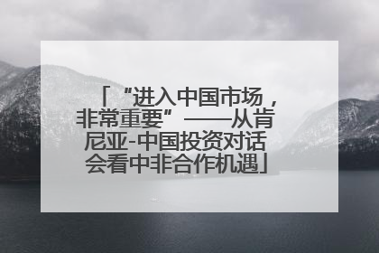 “进入中国市场，非常重要”——从肯尼亚-中国投资对话会看中非合作机遇