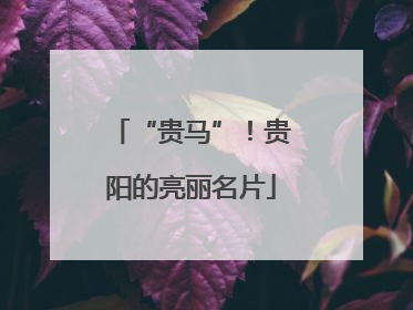 “贵马”！贵阳的亮丽名片