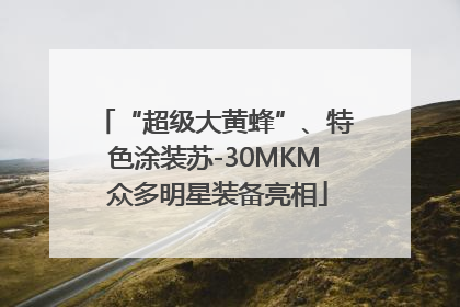 “超级大黄蜂”、特色涂装苏-30MKM 众多明星装备亮相