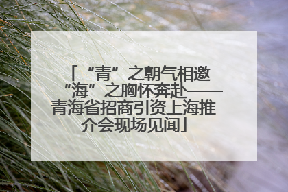 “青”之朝气相邀 “海”之胸怀奔赴——青海省招商引资上海推介会现场见闻