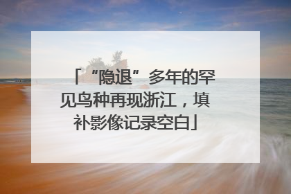 “隐退”多年的罕见鸟种再现浙江，填补影像记录空白
