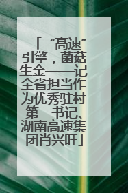 “高速”引擎，菌菇生金——记全省担当作为优秀驻村第一书记、湖南高速集团肖兴旺