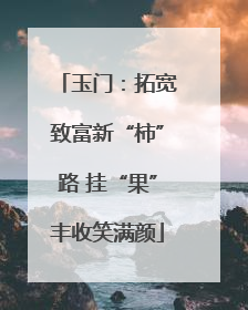 玉门：拓宽致富新“柿”路 挂“果”丰收笑满颜