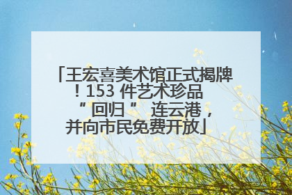 王宏喜美术馆正式揭牌！153 件艺术珍品 “ 回归 ” 连云港，并向市民免费开放
