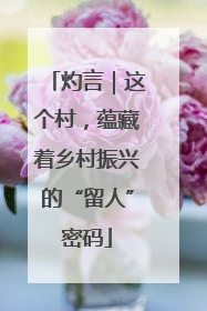 灼言｜这个村，蕴藏着乡村振兴的“留人”密码