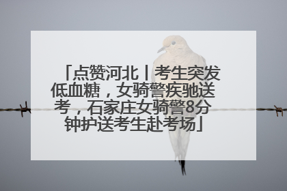 点赞河北丨考生突发低血糖，女骑警疾驰送考，石家庄女骑警8分钟护送考生赴考场