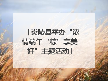 炎陵县举办“浓情端午‘粽’享美好”主题活动